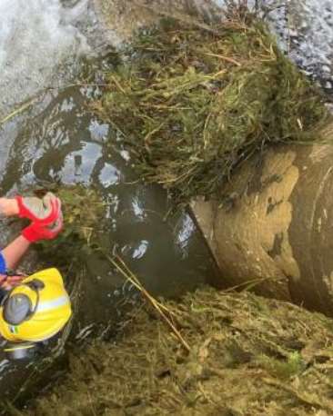 les algues deviennent un défis hydraulique