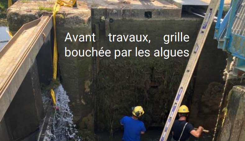 vanne d'écluse obstruée par les algues